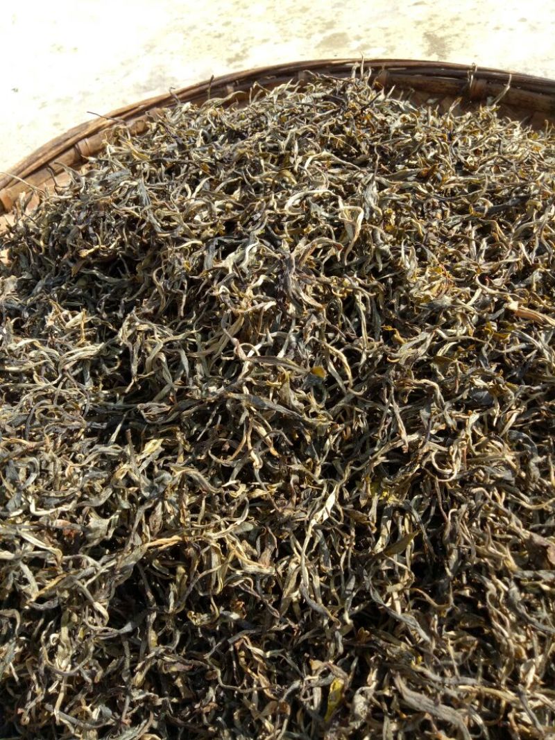 百年大树茶二级