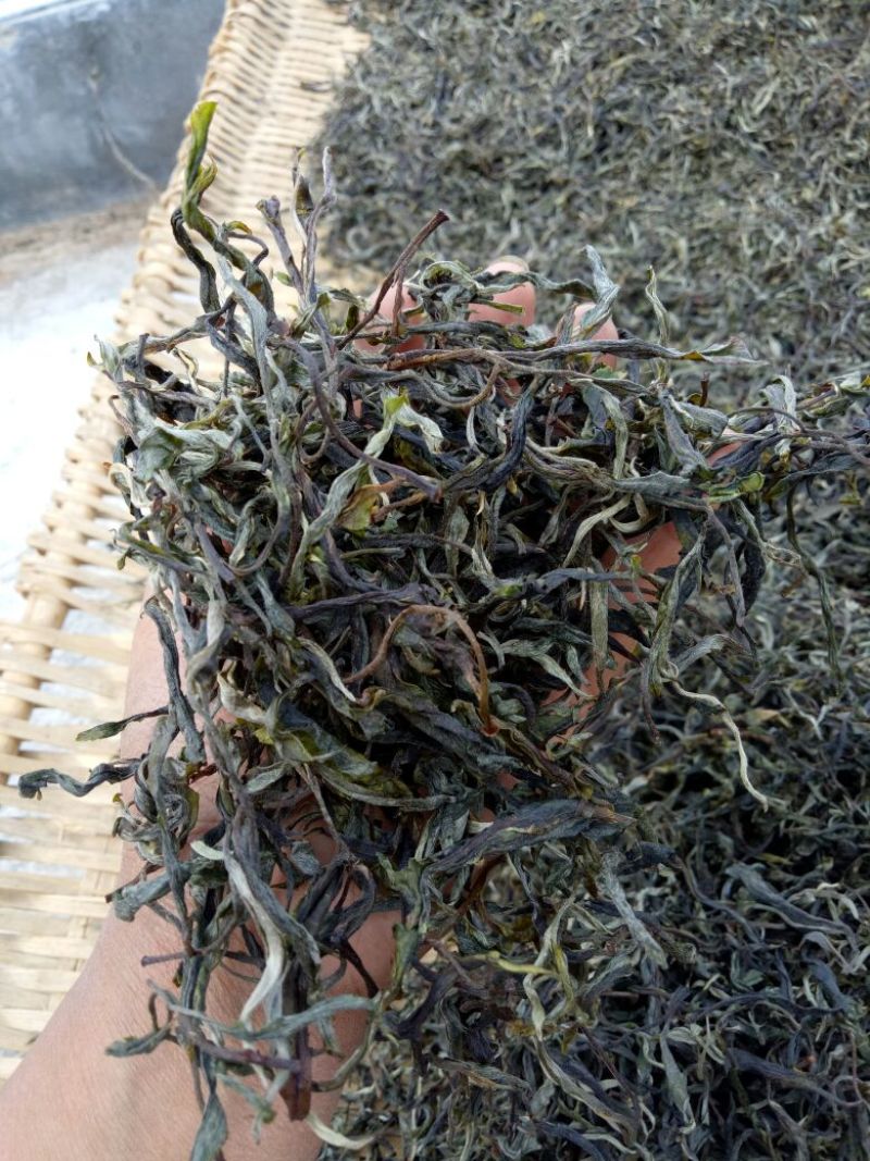 百年大树茶二级