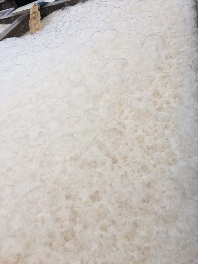 红薯淀粉