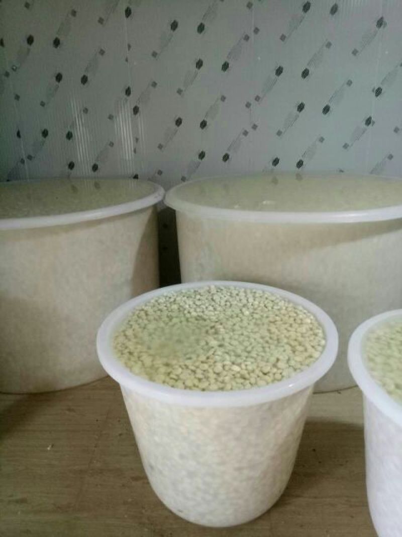荸荠大号。质量优秀，价格便宜。