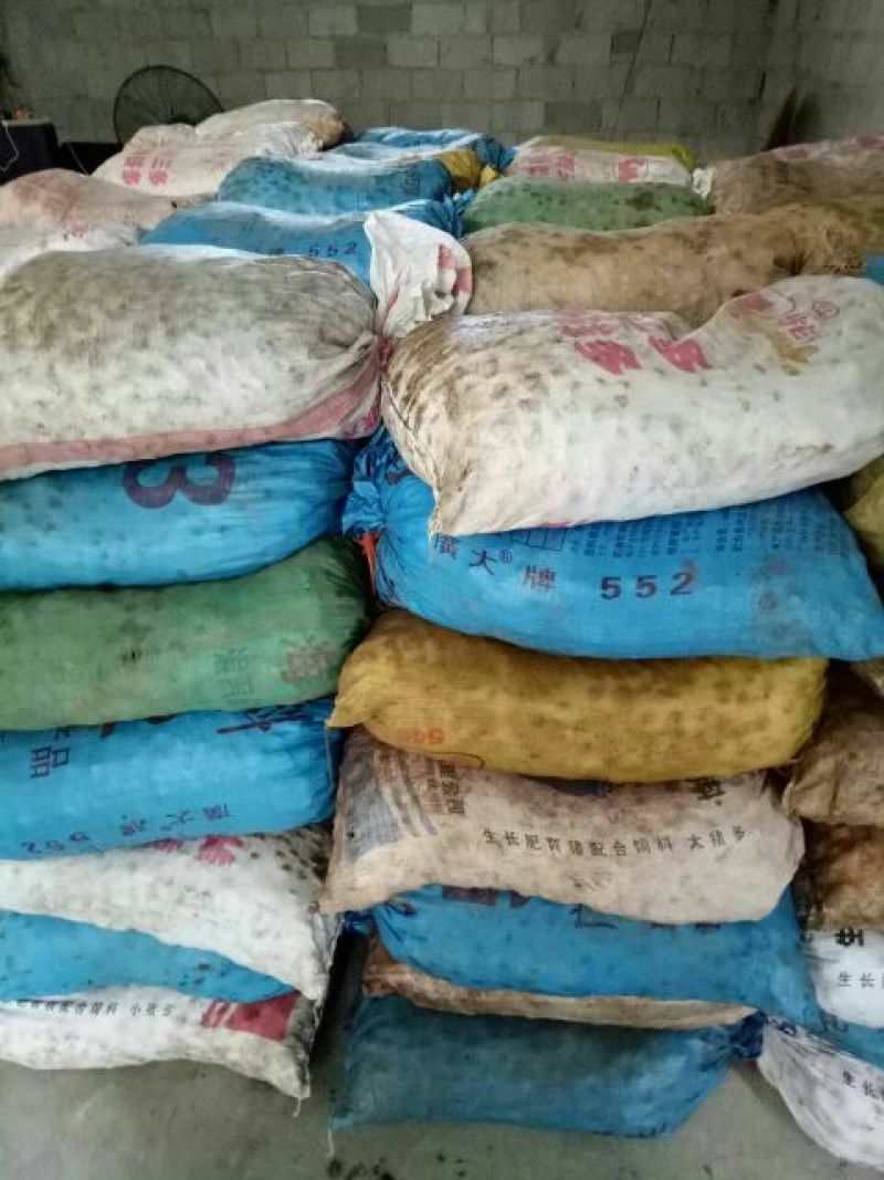 荸荠大号。质量优秀，价格便宜。