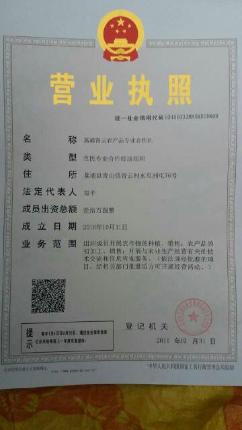 荸荠大号。质量优秀，价格便宜。
