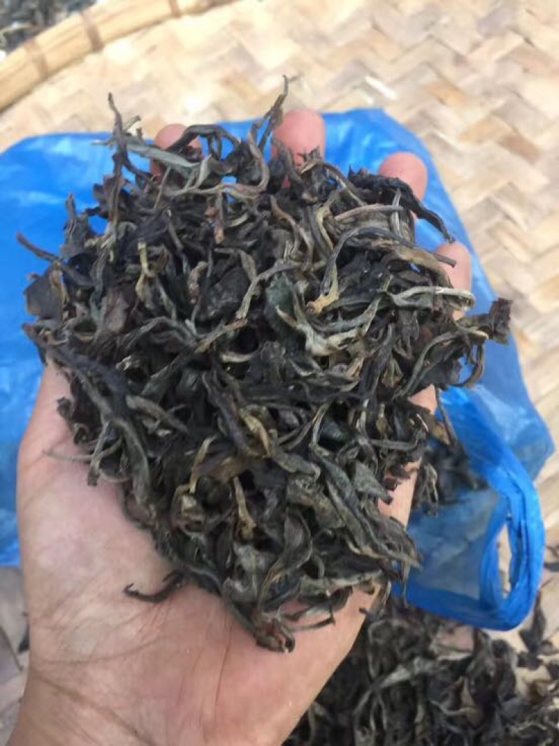 普洱茶
