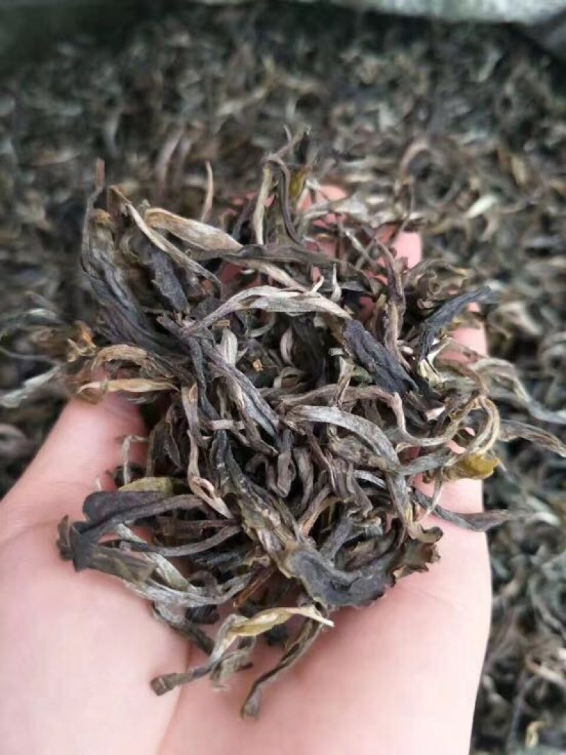 普洱茶