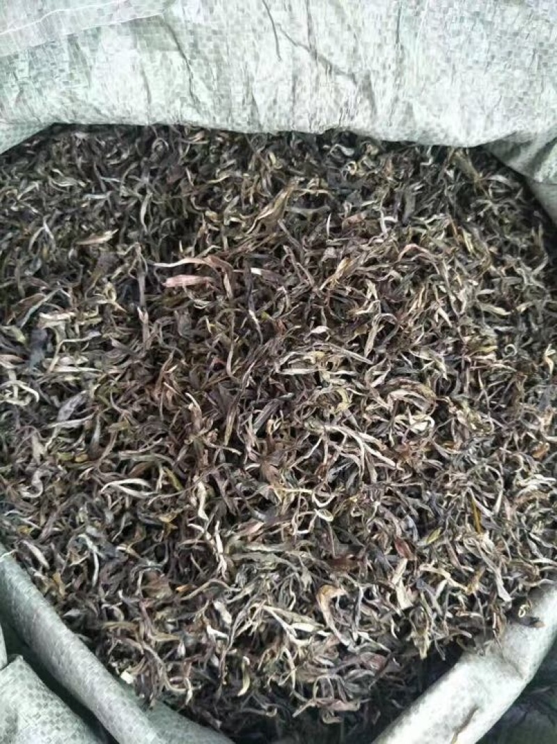普洱茶