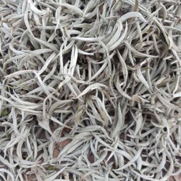 普洱茶