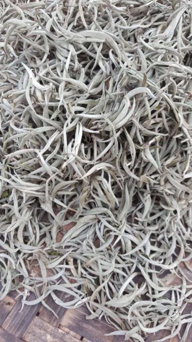 普洱茶
