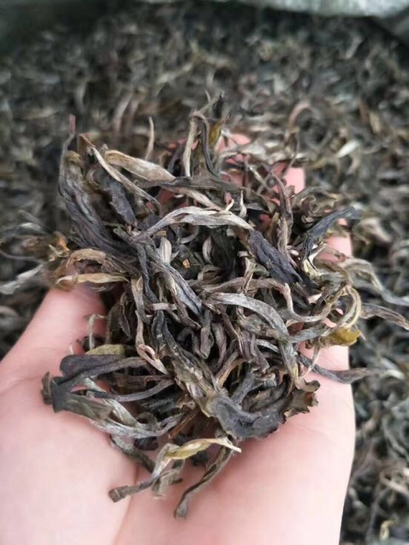 普洱茶