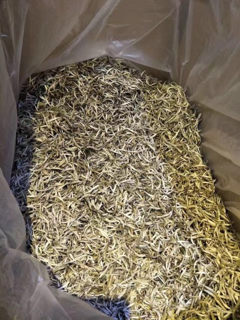 普洱茶