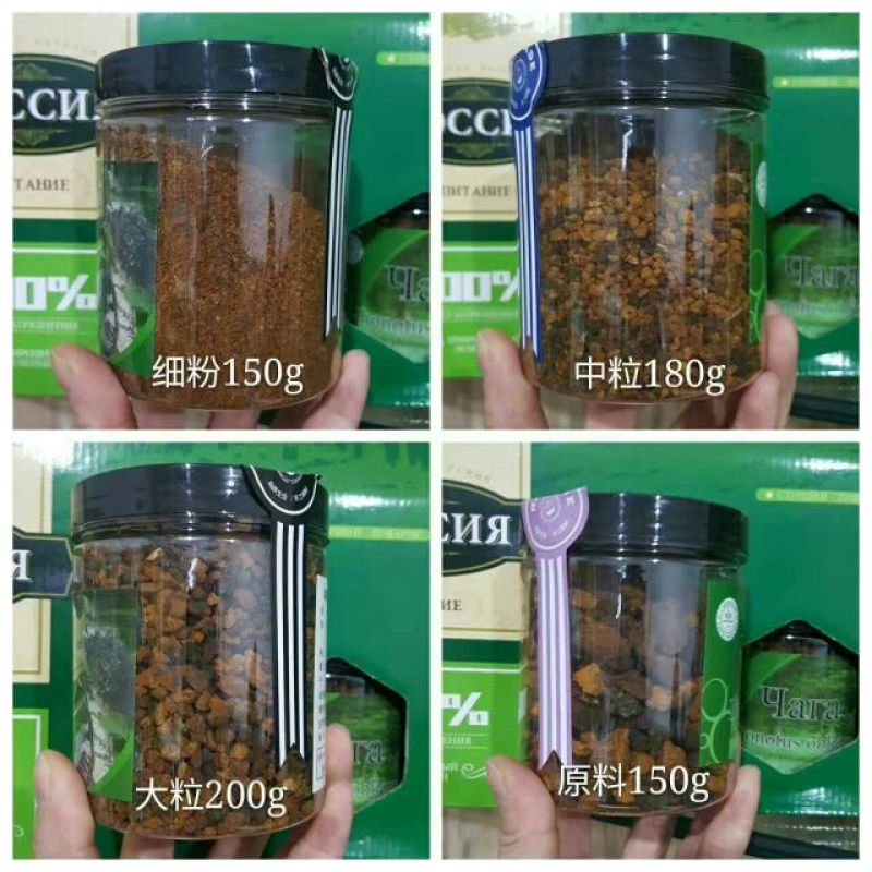 白桦茸