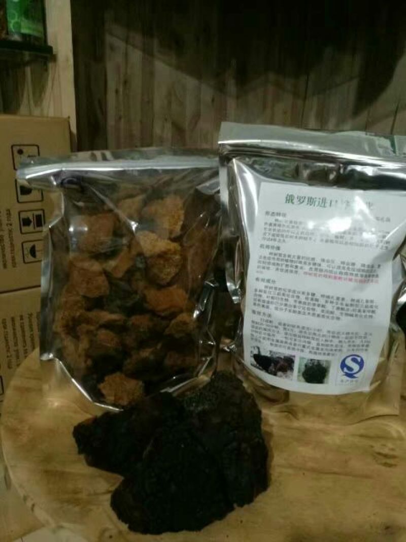 白桦茸