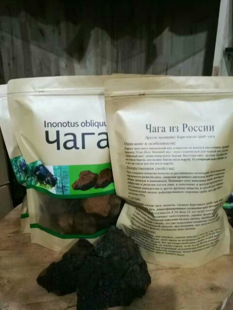 白桦茸