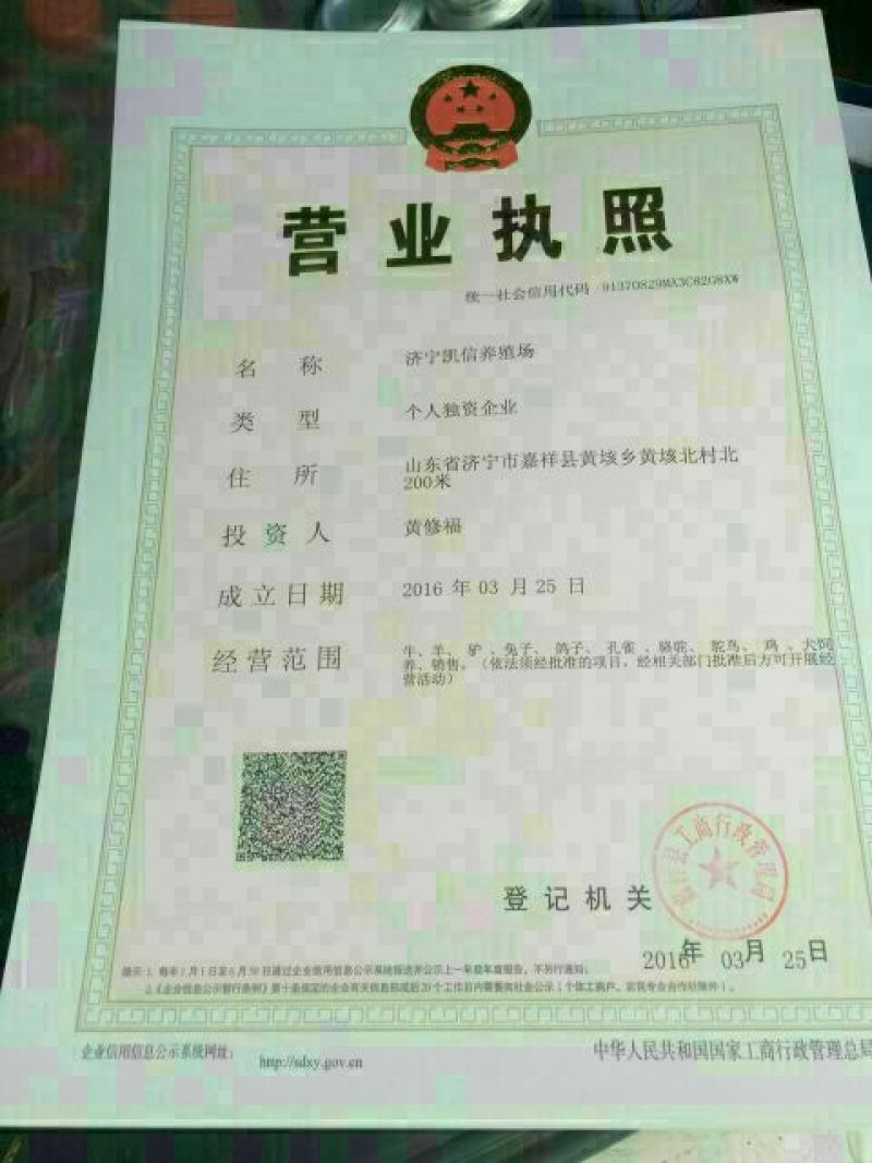 西门塔尔牛200~300斤