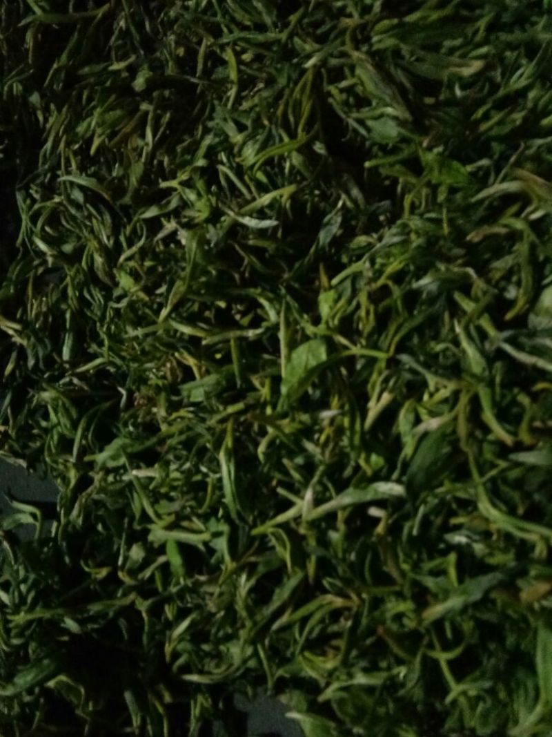 普洱茶二级