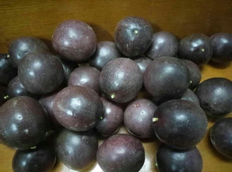 百香果100~120g紫果