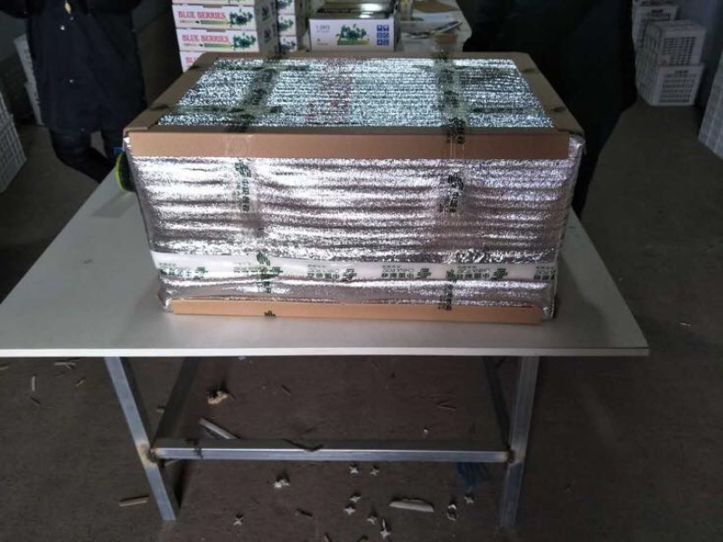 蓝丰蓝莓