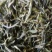 普洱茶一级