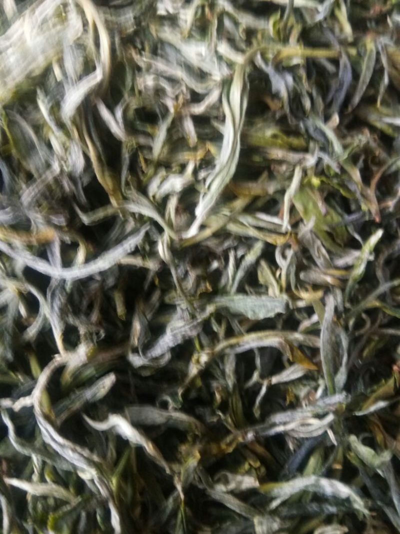 普洱茶一级