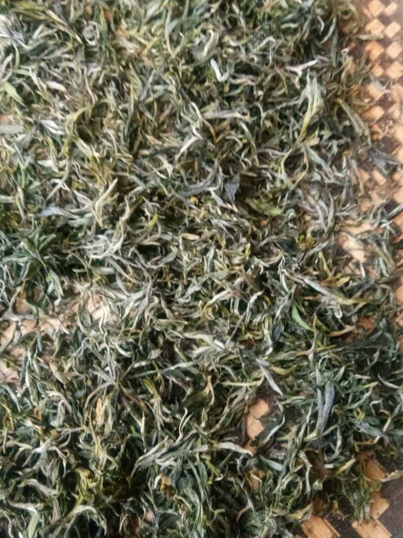 普洱茶一级