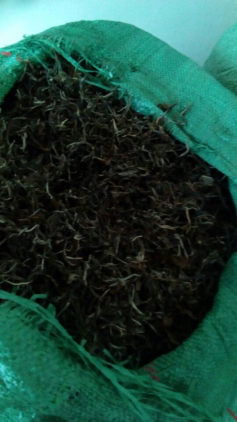 古树普洱茶一级