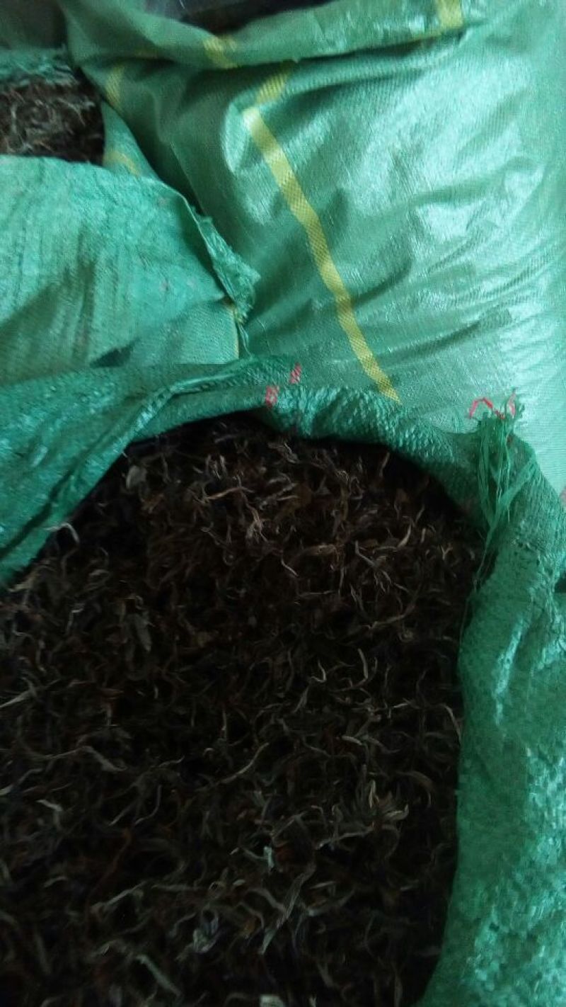 古树普洱茶一级