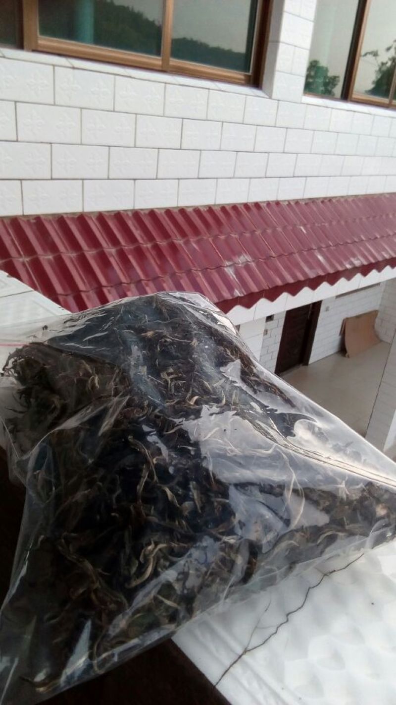 古树普洱茶一级