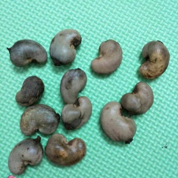 腰果