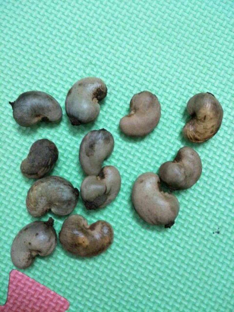 腰果
