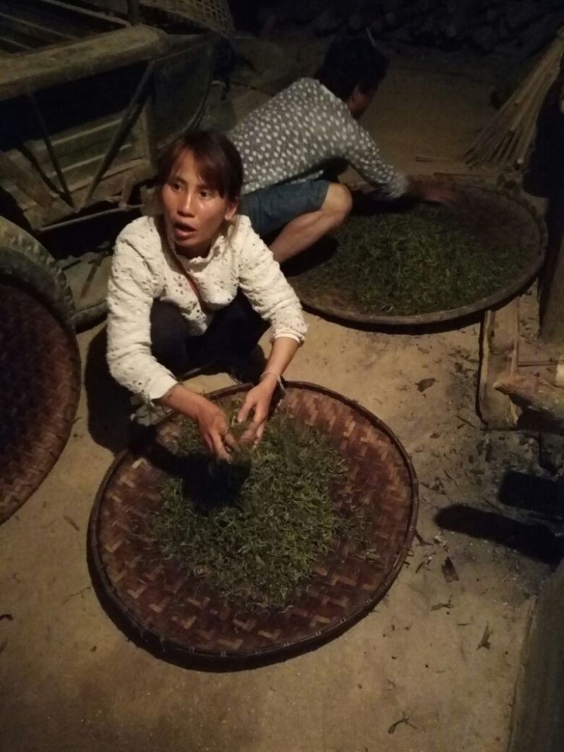 普洱茶一级