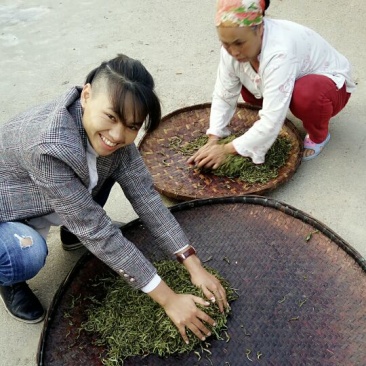 普洱茶一级