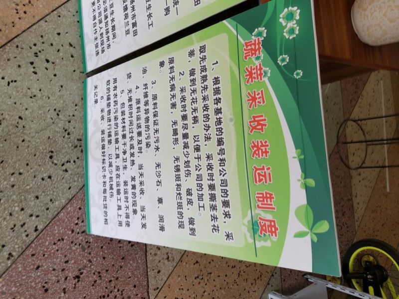 荷兰豆未饱满