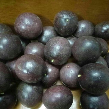 百香果精品特级果