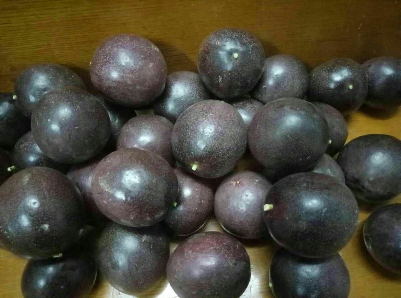 百香果精品特级果