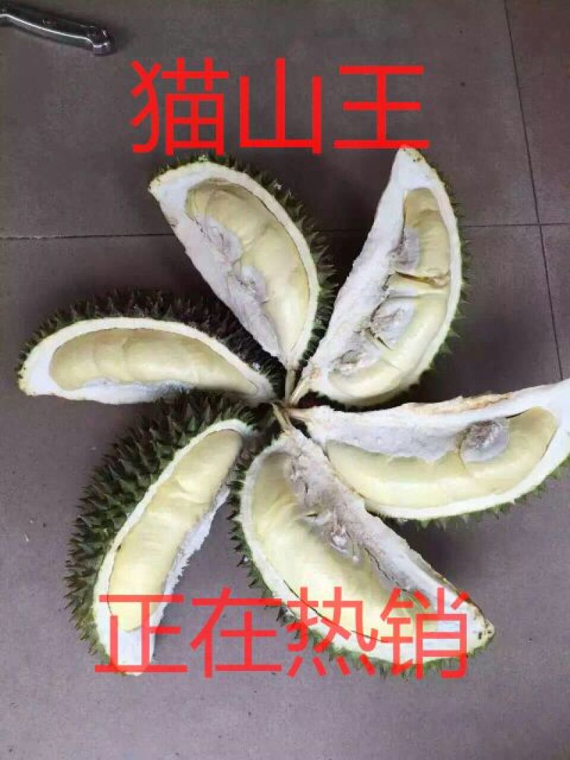 猫山王3~5斤