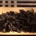 岩茶