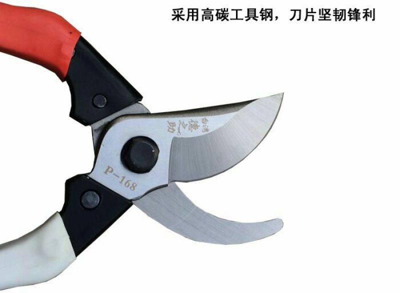 剪刀修枝剪园艺工具