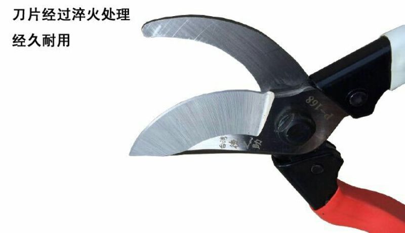 剪刀修枝剪园艺工具