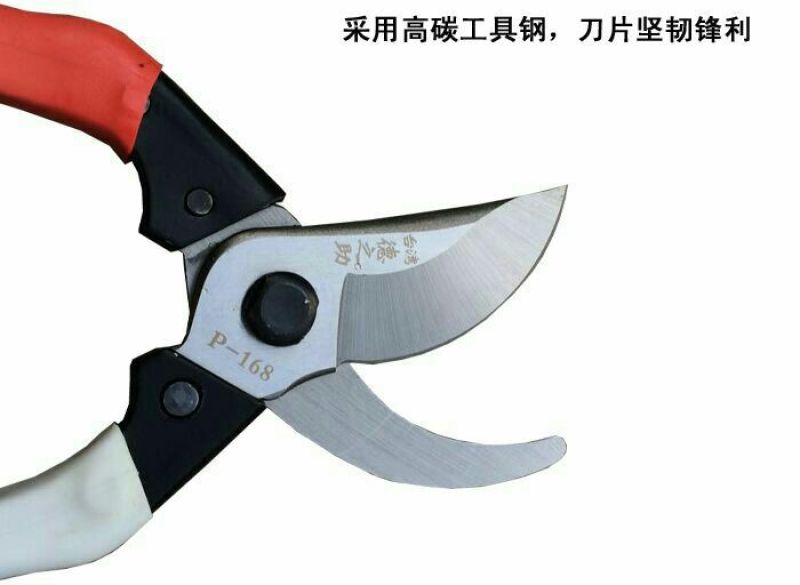 剪刀修枝剪园艺工具
