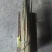 早竹春笋15~20cm