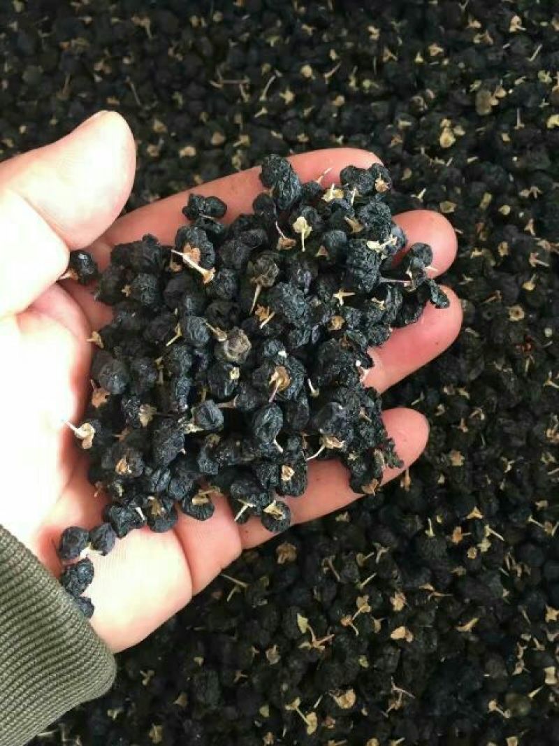 黑枸杞头茬干货