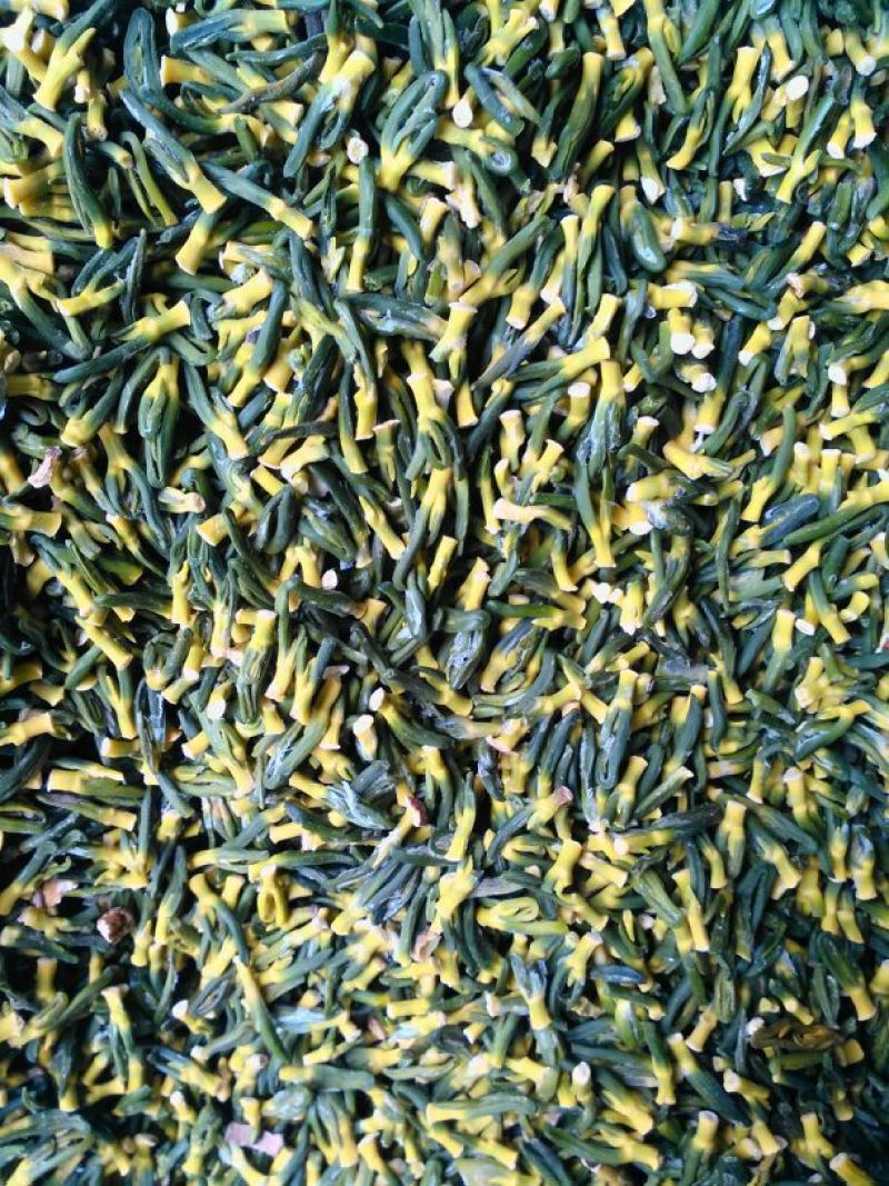 精选莲子芯一斤起批5斤起包邮