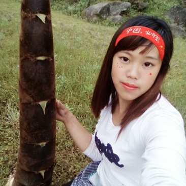 毛竹春笋10~15cm
