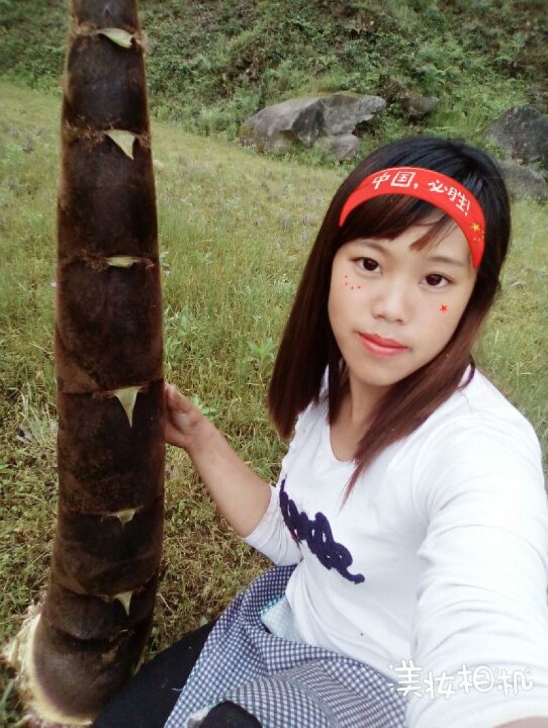 毛竹春笋10~15cm