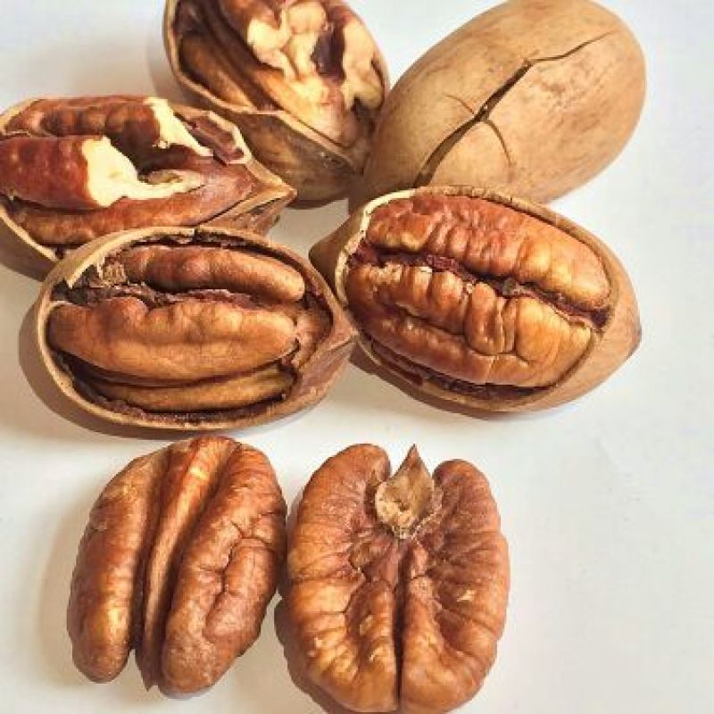 碧根果30mm以上去皮干