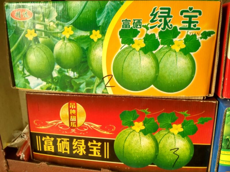 绿宝甜瓜0.5斤以上精品产地直供各种甜瓜齐全