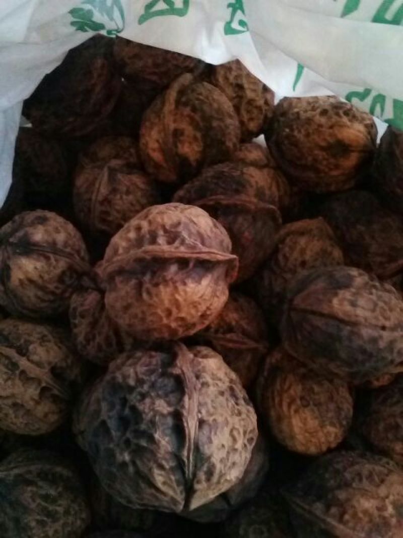 麻核桃30mm以上去皮干