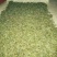 古树茶特级
