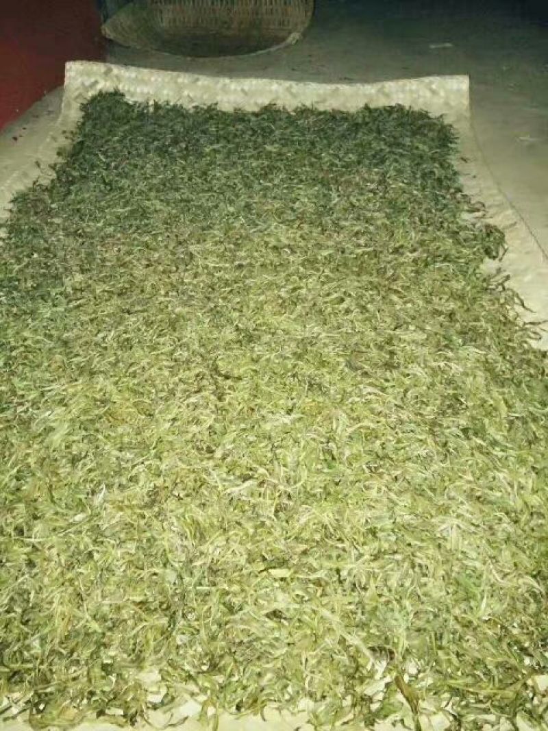 古树茶特级