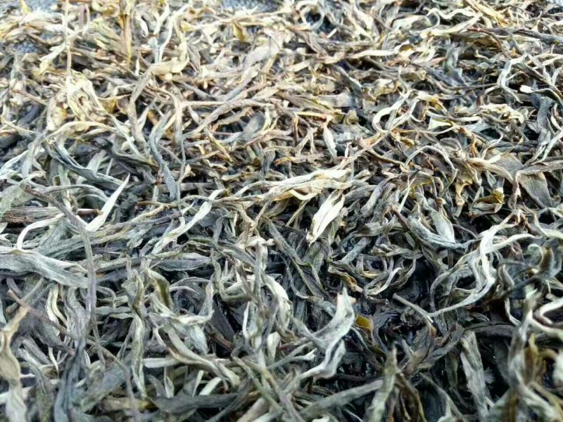 古树茶特级