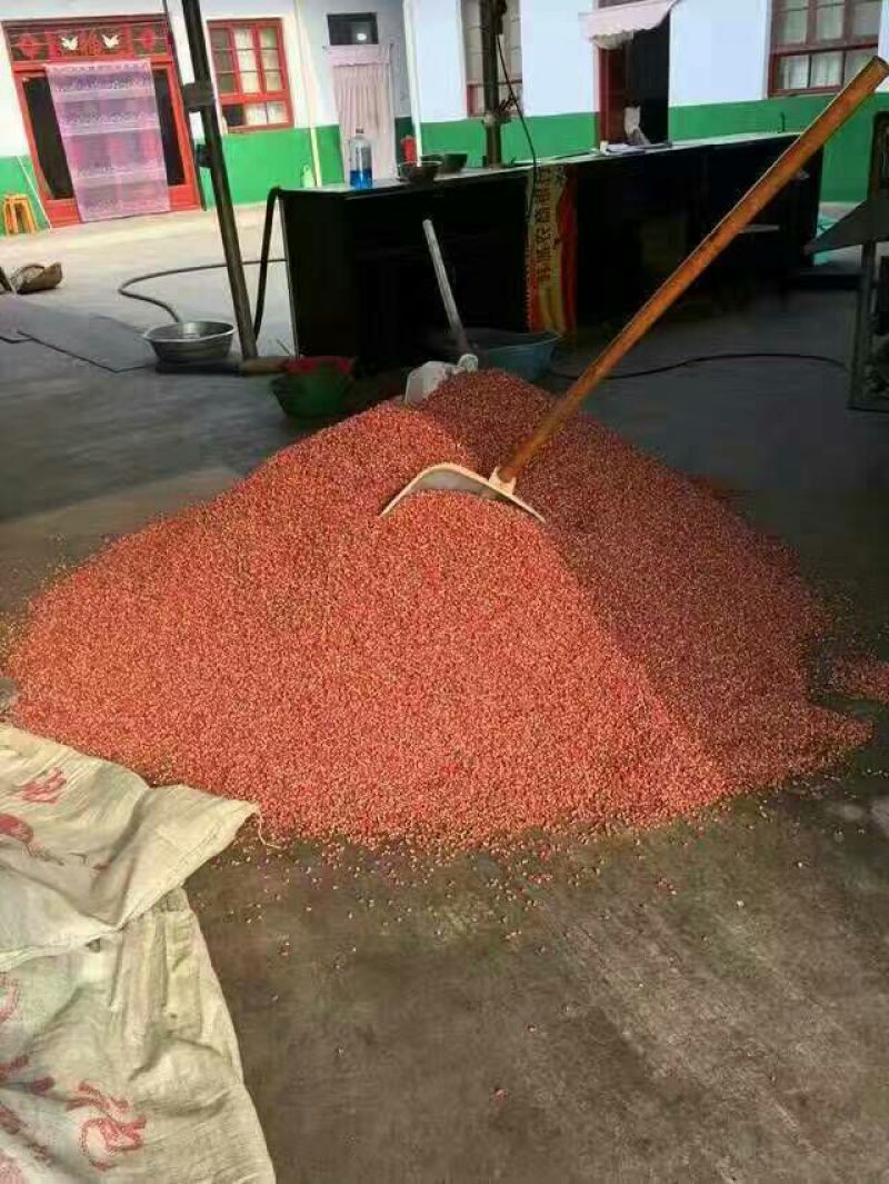 大红袍花椒一级干